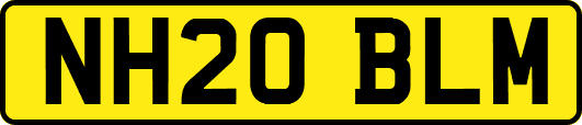 NH20BLM