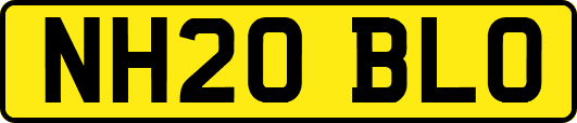 NH20BLO
