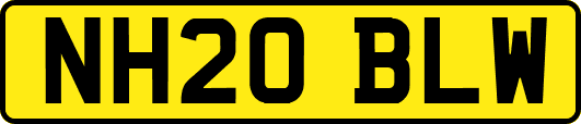 NH20BLW