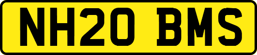 NH20BMS