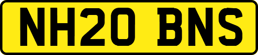 NH20BNS
