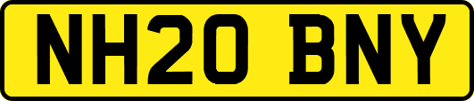NH20BNY