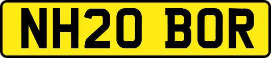 NH20BOR