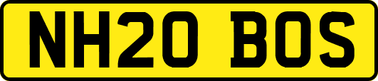 NH20BOS