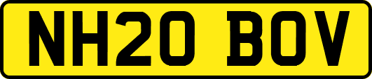 NH20BOV