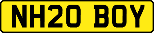 NH20BOY