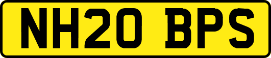 NH20BPS