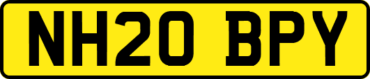 NH20BPY