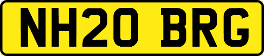 NH20BRG