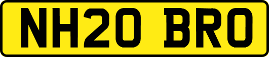 NH20BRO
