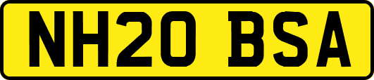 NH20BSA