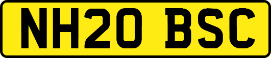 NH20BSC