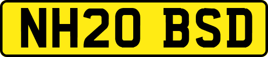 NH20BSD