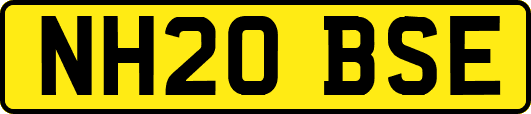 NH20BSE