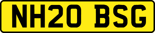 NH20BSG