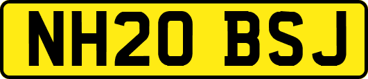 NH20BSJ