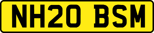 NH20BSM