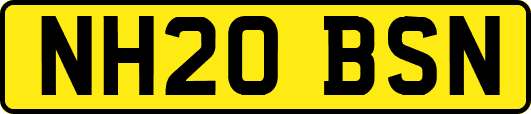 NH20BSN