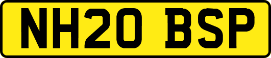 NH20BSP