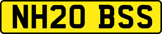 NH20BSS