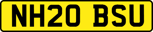 NH20BSU