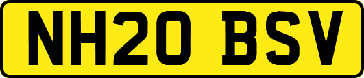 NH20BSV