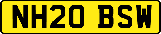 NH20BSW