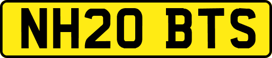 NH20BTS