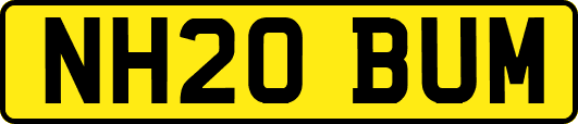 NH20BUM