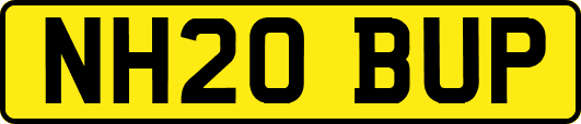 NH20BUP