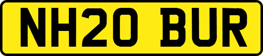 NH20BUR