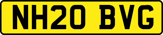 NH20BVG