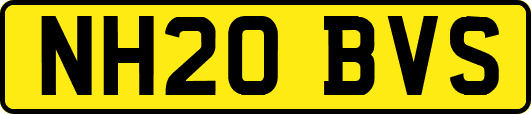 NH20BVS