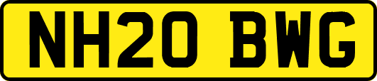 NH20BWG