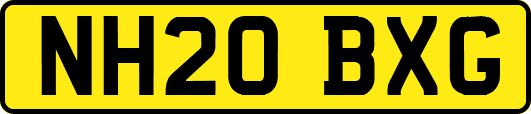 NH20BXG