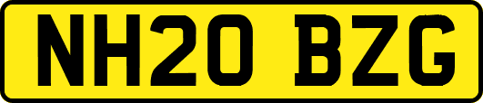 NH20BZG