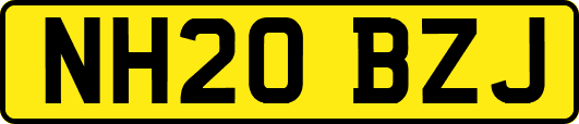 NH20BZJ