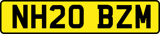 NH20BZM
