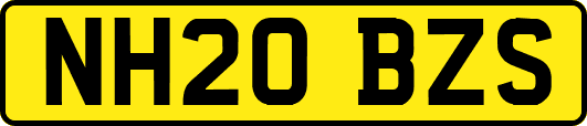 NH20BZS