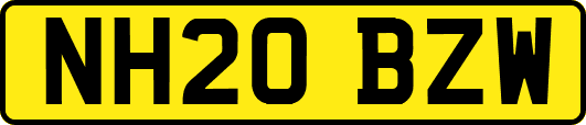 NH20BZW