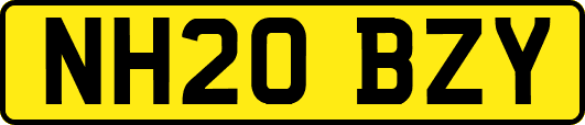 NH20BZY