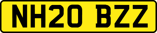 NH20BZZ