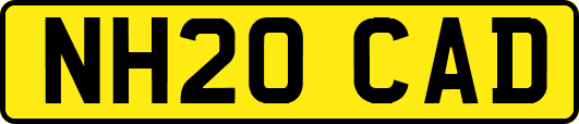 NH20CAD