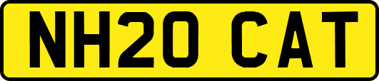 NH20CAT