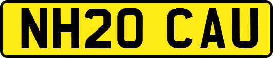 NH20CAU