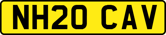 NH20CAV