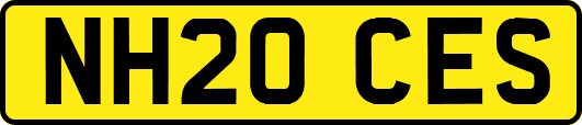 NH20CES