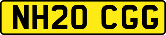 NH20CGG