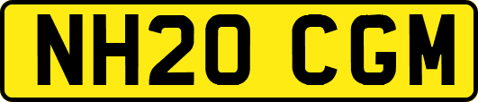 NH20CGM
