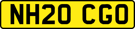 NH20CGO